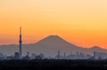 Tokyo Skytree and Mount Fuji Royalty Free Stock Photo
