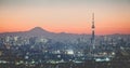 Tokyo Skytree and Mount Fuji Royalty Free Stock Photo