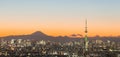 Tokyo skytree and mountain fuji Royalty Free Stock Photo