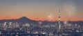 Tokyo skytree and mountain fuji Royalty Free Stock Photo