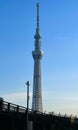 Tokyo Skytree shines against the blue sky