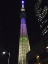 Tokyo SkyTree - Special Lightning