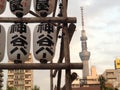 Tokyo Skytree as viewed by a temple