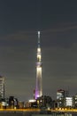 Tokyo skytree tower in Janpan in night light with brigde and building