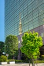 Tokyo Skytree tower reflecting in the office building glass facade