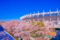 Tokyo Stadium (Ajinomoto Stadium) and Sakura Royalty Free Stock Photo