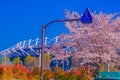 Tokyo Stadium (Ajinomoto Stadium) and Sakura Royalty Free Stock Photo