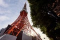 Tokyo Tower against sunset, Minato Ward, Tokyo, Japan