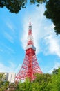 Tokyo Tower with bright blue sky on sunny day, Tokyo, Japan.