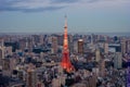 Tokyo Tower Royalty Free Stock Photo