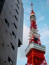 Tokyo tower and concrete buildings Royalty Free Stock Photo