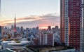 Tokyo tower view at morning sunset Royalty Free Stock Photo