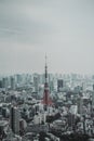 The Tokyo Tower in the middle of tokyo cityscape skyview