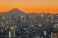 Tokyo Tower and mountain Fuji Royalty Free Stock Photo