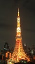 Tokyo tower at night Royalty Free Stock Photo