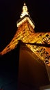 Tokyo Tower night view Royalty Free Stock Photo