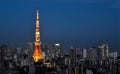 Tokyo tower night view Royalty Free Stock Photo