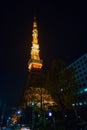 Tokyo Tower's under maintenance