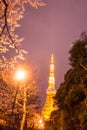 Tokyo tower with sakura foreground in spring time at Tokyo night Royalty Free Stock Photo