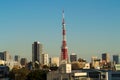 Tokyo Tower Seen from Roppongi Hills Neighborhood in Tokyo Royalty Free Stock Photo