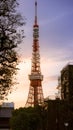 Tokyo tower in the sky twilight day. Japanese urban street at sunset. Japan Royalty Free Stock Photo