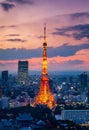 Tokyo tower and Tokyo skyscrapers buildings in Roppongi at night, Tokyo, Japan