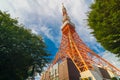 Tokyo tower on sunny day blue sky with green tree