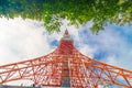 Tokyo Tower on sunshine day with blue sky green tree leaf foreground