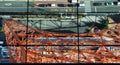 Tokyo Tower view through glass floor Royalty Free Stock Photo