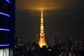 Tokyo tower view winter Royalty Free Stock Photo