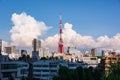 Tokyo Tower view from Roppongi Hills, Tokyo, Japan Royalty Free Stock Photo