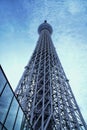 Tokyo Tree Sky Landmark of Tokyo Japan
