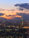 Tokyo in the twilight Royalty Free Stock Photo