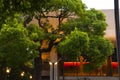 Tokyo, Ueno Cultural Center, building, big tree, park