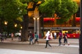 Tokyo, Ueno Cultural Center, building, big tree, park