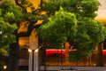 Tokyo, Ueno Cultural Center, building, big tree, park