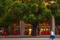 Tokyo, Ueno Cultural Center, building, big tree, park