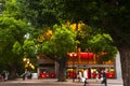 Tokyo, Ueno Cultural Center, building, big tree, park