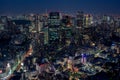 Tokyo urban cityscape at night