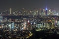 Tokyo urban cityscape at night