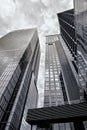 Tokyo in Winter - Glass Skyscrapers