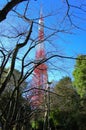 tokyotower in winter Royalty Free Stock Photo