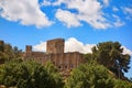 Toledo castle in Castile La Mancha Royalty Free Stock Photo
