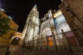 Toledo Cathedral By Night Royalty Free Stock Photo