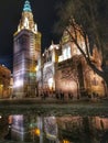 Toledo cathedral by night Royalty Free Stock Photo