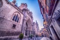 Toledo, Spain: the old town and the Cathedral Royalty Free Stock Photo