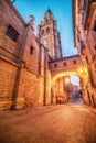 Toledo, Spain: the old town and the Cathedral Royalty Free Stock Photo
