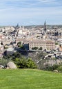 Toledo viewed from the garden in vertical