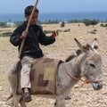 Child riding a donkey