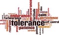 Tolerance word cloud Royalty Free Stock Photo